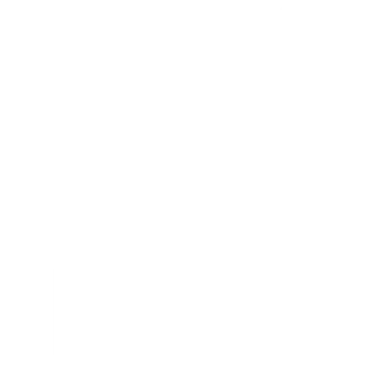 Sportfahrwerkicon